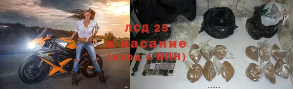 спайс Алзамай