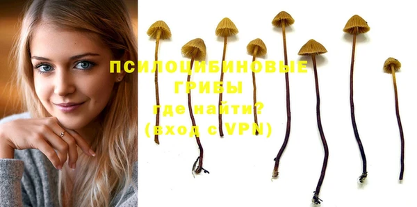 PSILOCYBIN Алексеевка