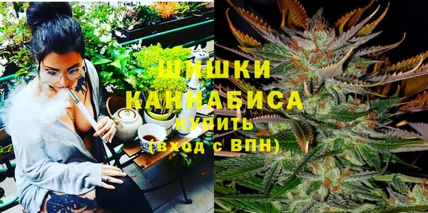 PSILOCYBIN Алексеевка