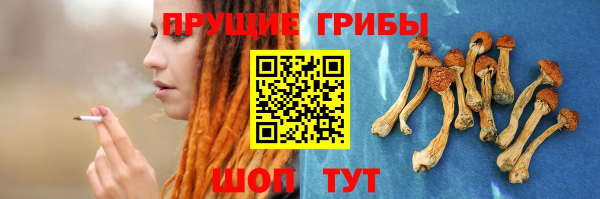 Псилоцибиновые грибы MAGIC MUSHROOMS Бахчисарай
